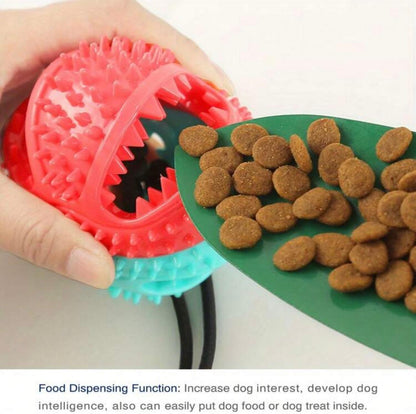 Interactive Dog Chew & Play